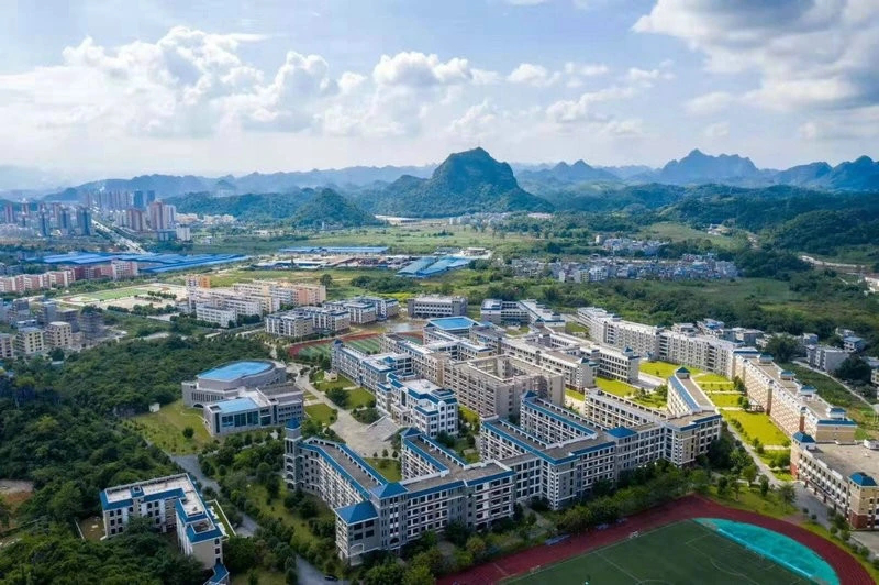 发展战略